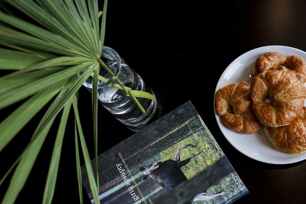 Guest House Senasis Pastas ドルスキニンカイ エクステリア 写真